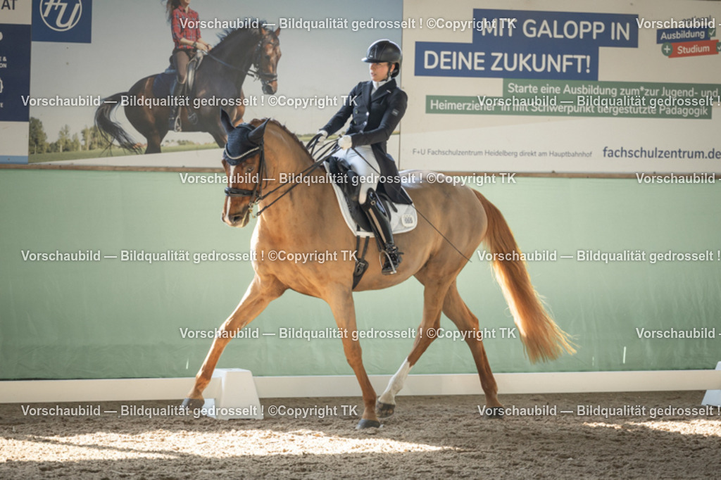 _D5A1347 | Emotionale Pferde- & People-Fotografie rund um Heidelberg, Leimen & Umgebung. Natürliche Fotos von Pferd, Mensch & Familie. Jetzt Termin sichern!