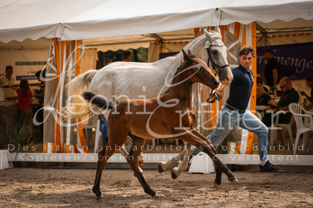 07.DoWBS00096 | Leoni Ertmer Photography - Realisiert mit Pictrs.com