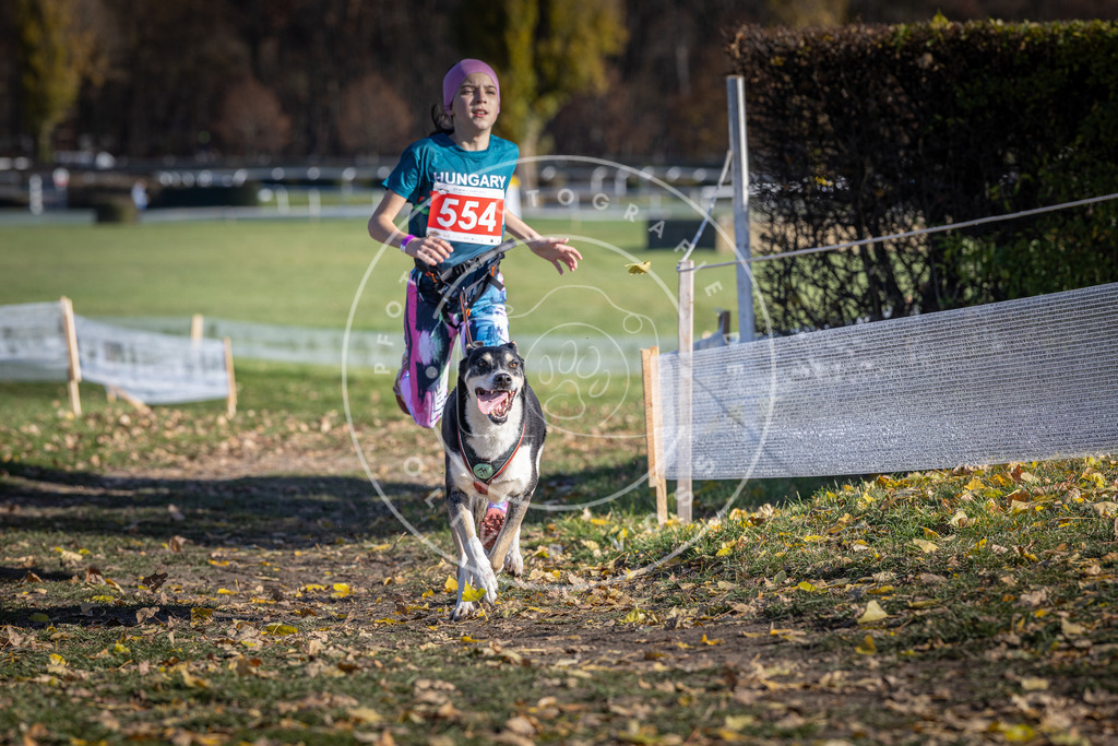 CaniXpix_DV3A8558 | Hundefotografie, Tierfotograf, Pfotenfotografie, Fotoshooting Hund, Hunde Portrait, Hundesport, Hundeportraits, Heideshooting, Hunde, Sportfotograf, Hundefotograf, Turnierhundsport, THS,  - Realisiert mit Pictrs.com