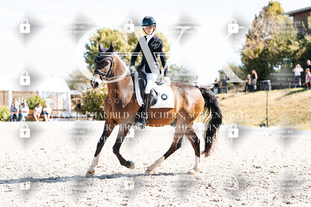 CK909651 | Turnierfotografie Pferdefotografie Trier Rheinland-Pfalz Pferdesport Reitsport Tierfotografie Sportfotografie Pferdevideo Pferdevideografie Equestrianvideography equestrianphotography  - Realisiert mit Pictrs.com