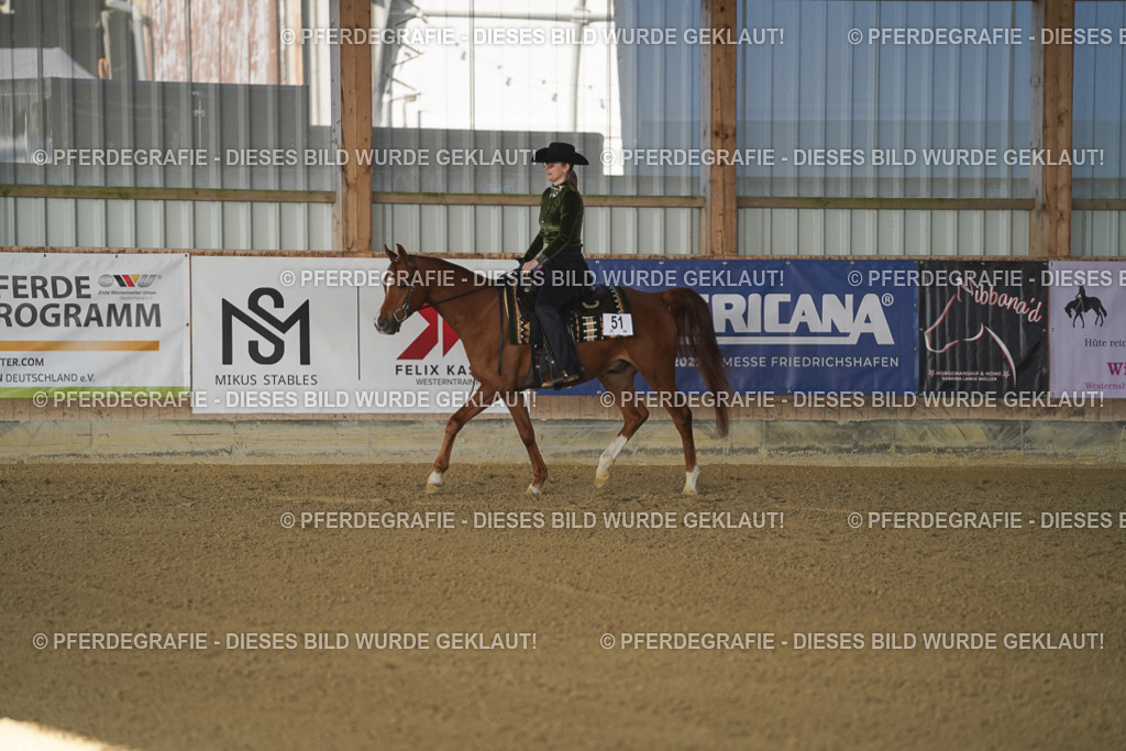 DSC08482 | Pferdegrafie