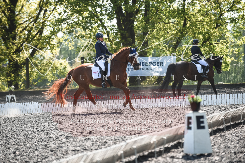 DSC_8866 | Pferde- und Turnierfotografie in Westsachsen. Pferdeportraits, Auftragszeichnungen und intuitive Kunst.