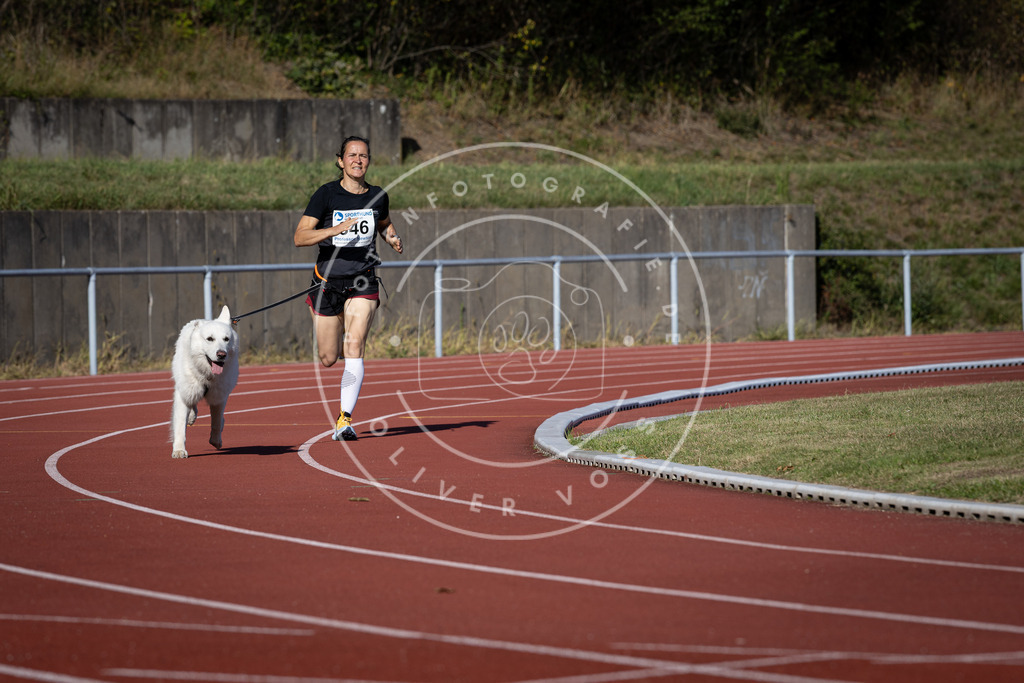 Pfotenfotografie_DV3A8954 | Hundefotografie, Tierfotograf, Pfotenfotografie, Fotoshooting Hund, Hunde Portrait, Hundesport, Hundeportraits, Heideshooting, Hunde, Sportfotograf, Hundefotograf, Turnierhundsport, THS,  - Realisiert mit Pictrs.com