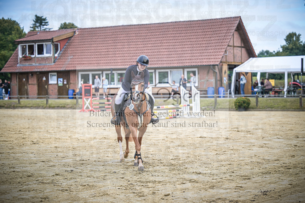 DOS_0220 | Entdecke hochwertige Reitturnierfotos von Foto Oger. Professionell, emotional und authentisch – jetzt Lieblingsmomente im Shop bestellen.Deutschlandweite Turnierfotografie. - Realisiert mit Pictrs.com