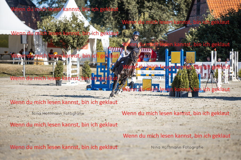 BK1A7650 | Turnierbilder Turnierfotos Nina Hüffmann Turnierfotografie Pferdefotografie Tierzeichnung Haustierzeichnung Pferdezeichnung Hundezeichnung Videograf  - Realisiert mit Pictrs.com