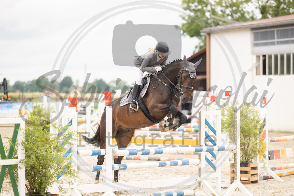 994A0212 | sabrinanicolaifotografie - Realisiert mit Pictrs.com