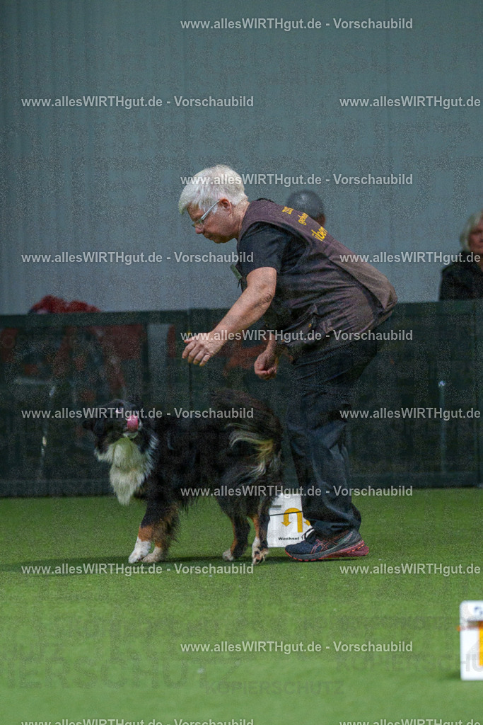 7R507082 | Professionelle Tierfotografie in Mönchengladbach von Daniel Wirth (allesWIRTHgut). Liebevolle & natürliche Bilder von Hunden & Katzen für unvergessliche Erinnerungen.