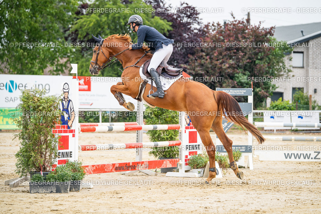 DSC09530 | Pferdegrafie