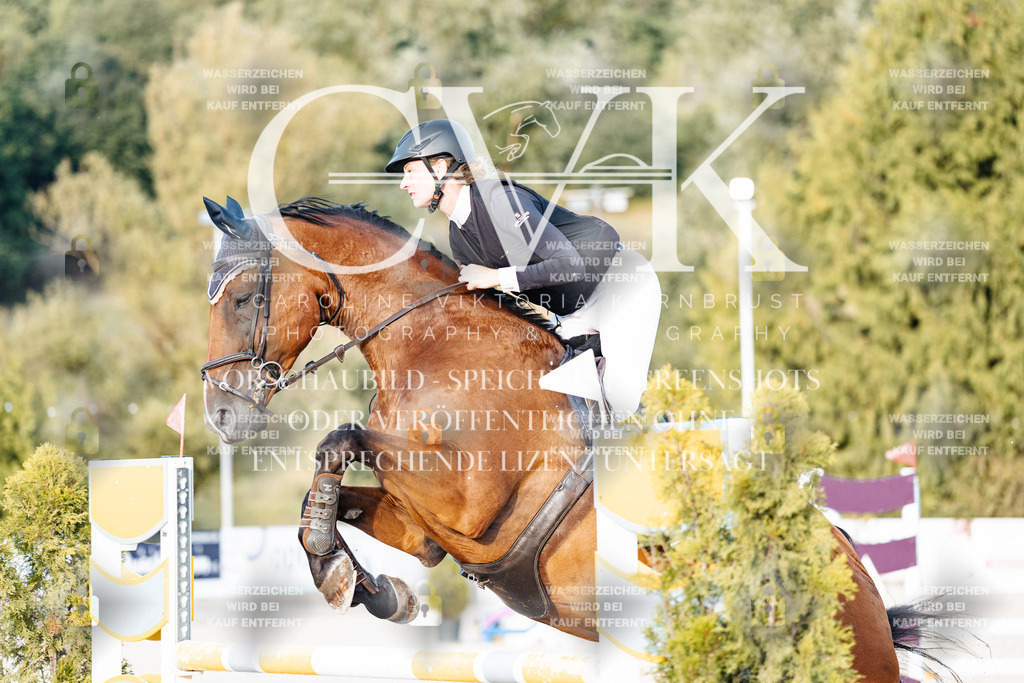 CK900896 | Turnierfotografie Pferdefotografie Trier Rheinland-Pfalz Pferdesport Reitsport Tierfotografie Sportfotografie Pferdevideo Pferdevideografie Equestrianvideography equestrianphotography  - Realisiert mit Pictrs.com