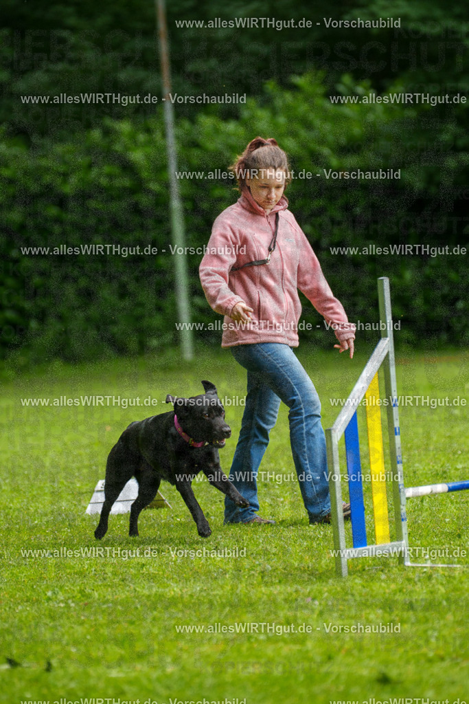 @allesWIRTHgut_Tierfotografie - www.allesWIRTHgut.de - 7R503093 | Professionelle Tierfotografie in Mönchengladbach von Daniel Wirth (allesWIRTHgut). Liebevolle & natürliche Bilder von Hunden & Katzen für unvergessliche Erinnerungen.