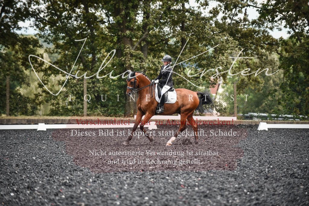 DSC_4996 | Pferde- und Turnierfotografie in Westsachsen. Pferdeportraits, Auftragszeichnungen und intuitive Kunst.