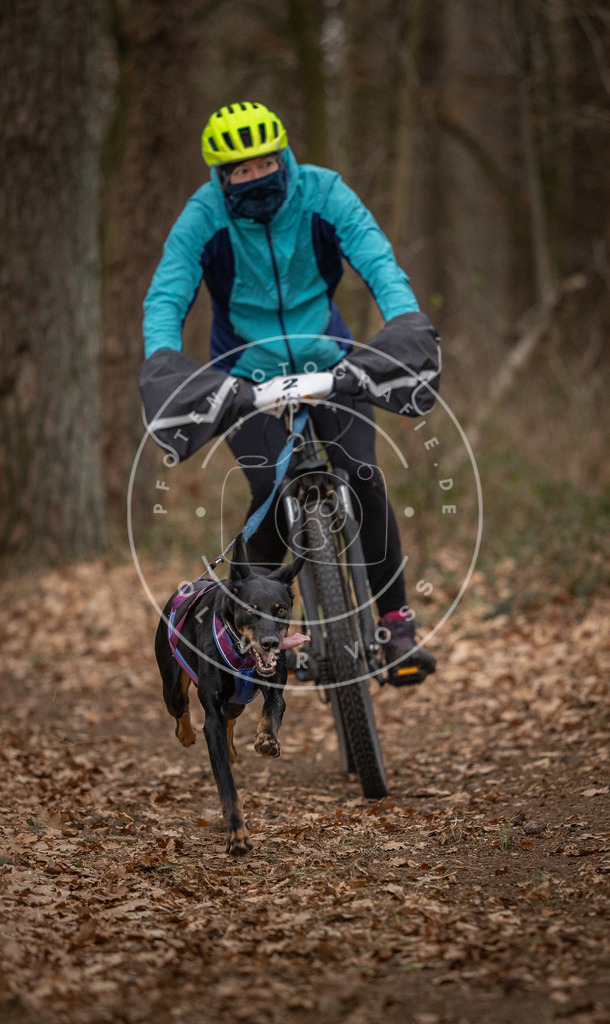 Pfotenfotografie_DV3A7108 | Hundefotografie, Tierfotograf, Pfotenfotografie, Fotoshooting Hund, Hunde Portrait, Hundesport, Hundeportraits, Heideshooting, Hunde, Sportfotograf, Hundefotograf, Turnierhundsport, THS,  - Realisiert mit Pictrs.com