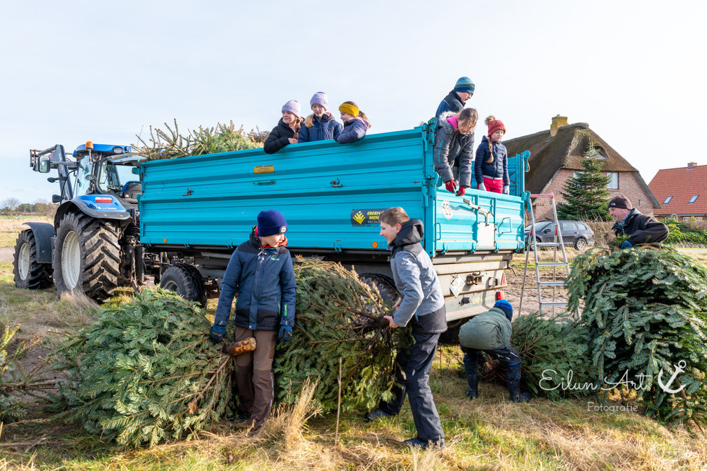 EAF_1977 | Eilun-Art-Fotografie Levke Martens, ihre Fotografin für Immobilien- und Landschaftsfotografie auf Föhr, Föhrer Motive als Poster, Leinwand, hinter Acrylglas oder stelle dir deinen eigenen Monatskalender zusammen, mit nur einem Klick