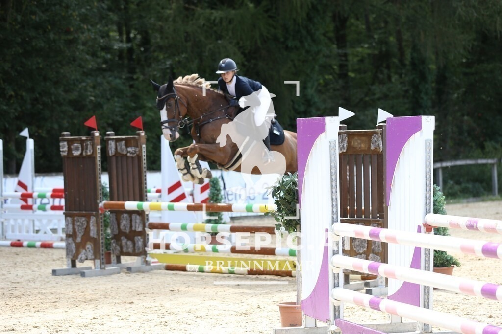 DL2Q7298 | Willkommen bei Brunnmayr - Design & Fotografie – Ihrem Spezialisten für Reitturniere und Pferdeveranstaltungen in Oberösterreich, Salzburg und Bayern! Seit über 17 Jahren sind wir leidenschaftlich dabei.