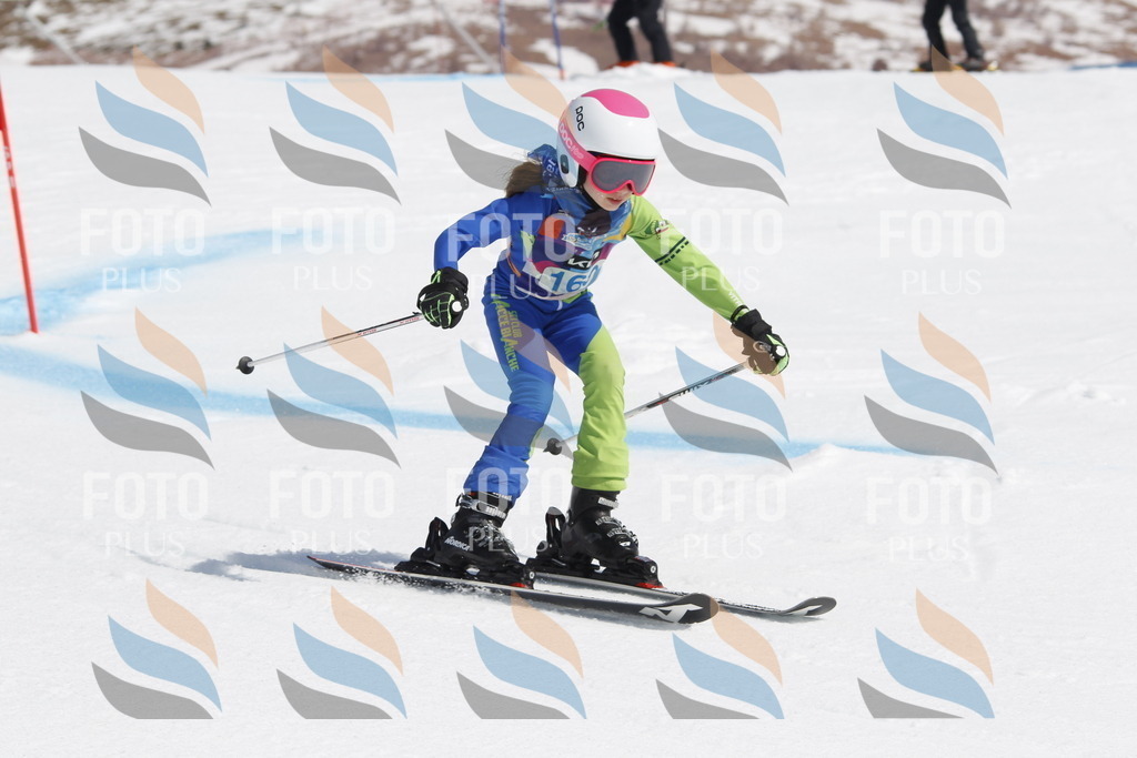 _U3G1519 | holidayphoto