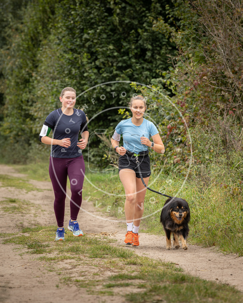 Pfotenfotografie_DV3A7360 | Hundefotografie, Tierfotograf, Pfotenfotografie, Fotoshooting Hund, Hunde Portrait, Hundesport, Hundeportraits, Heideshooting, Hunde, Sportfotograf, Hundefotograf, Turnierhundsport, THS,  - Realisiert mit Pictrs.com
