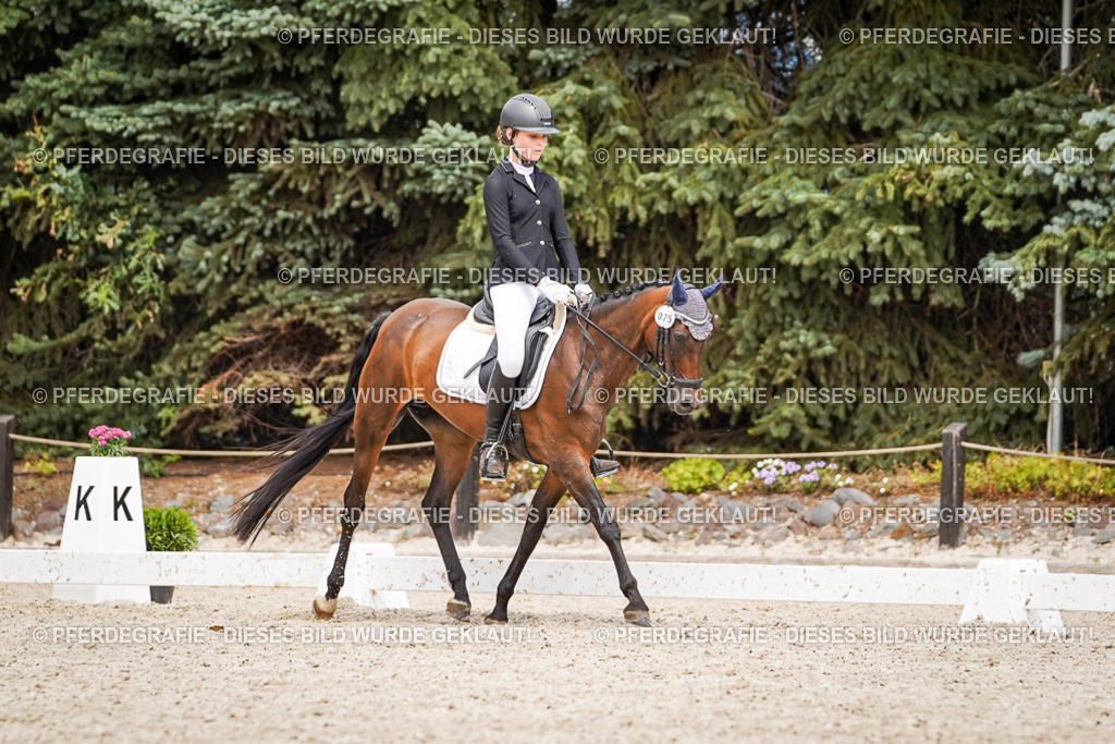 DSC04112 | Pferdegrafie