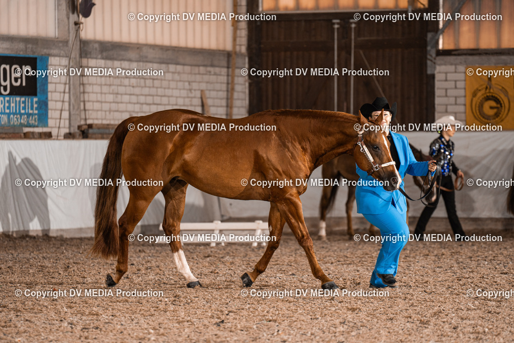 ZH200150 | dv-media-shop - Realisiert mit Pictrs.com