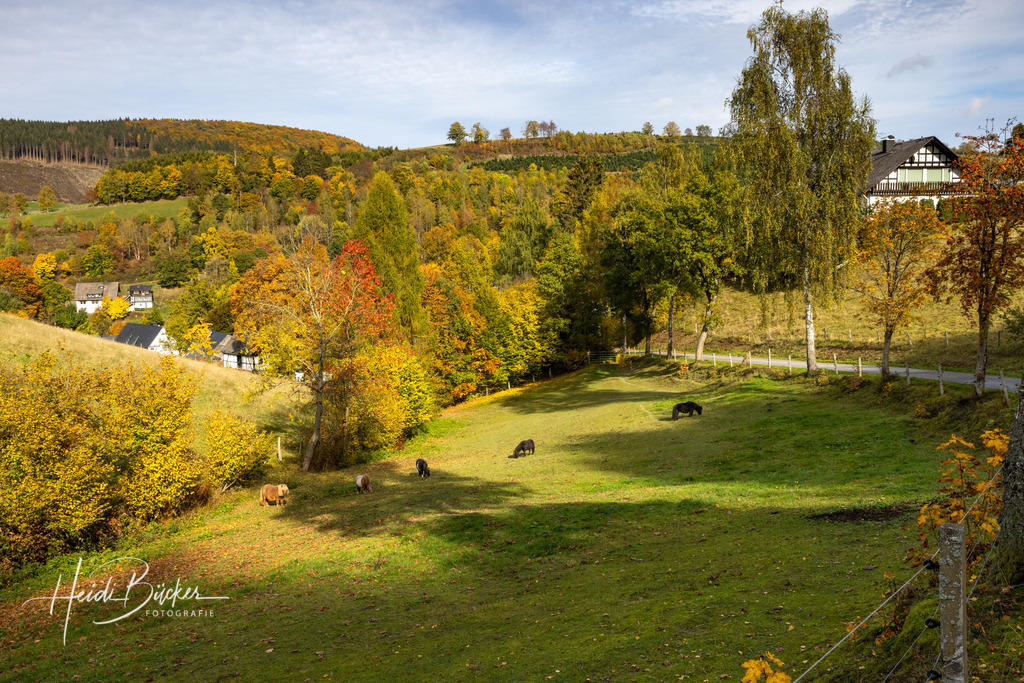 Westfeld und Umgebung 082 | Bilder und Impressionen zu jeder Jahreszeit aus dem Sauerland im Naturpark Sauerland-Rothaargebirge - Realisiert mit Pictrs.com