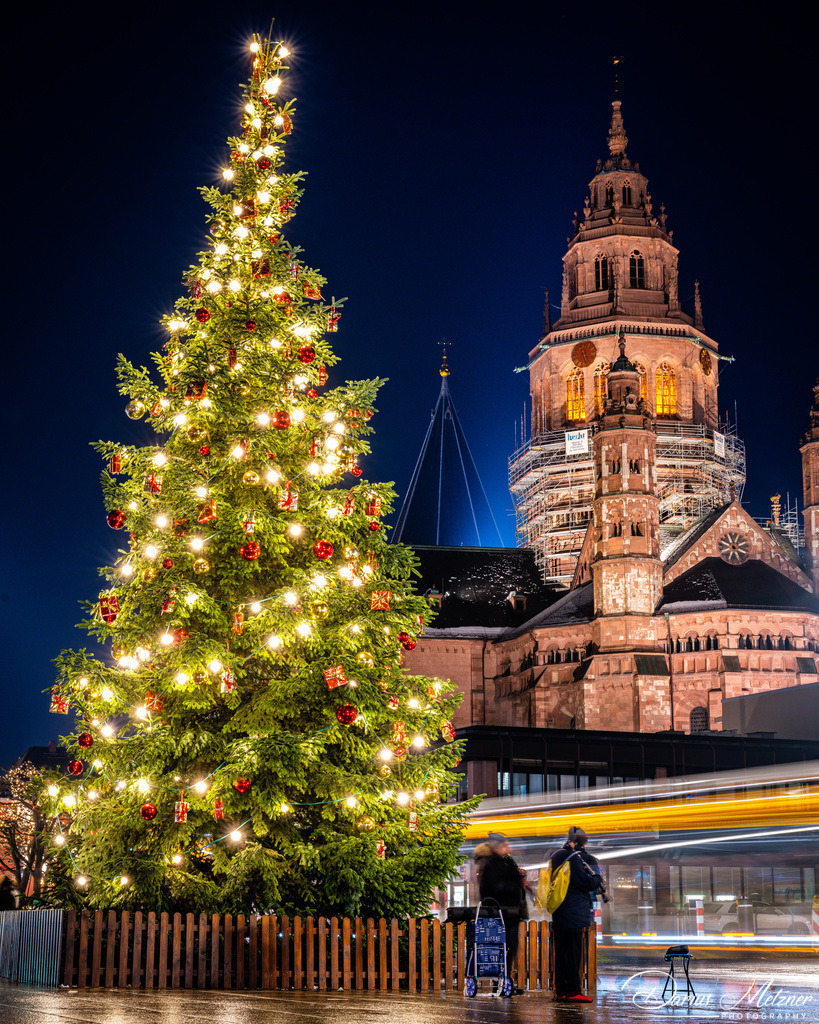 Der Mainzer Dom mit dem Weihnachtsbaum vor dem Staatstheater | Der Mainzer Dom mit dem Weihnachtsbaum vor dem Staatstheater in Mainz