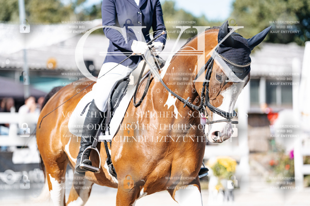 CK908105 | Turnierfotografie Pferdefotografie Trier Rheinland-Pfalz Pferdesport Reitsport Tierfotografie Sportfotografie Pferdevideo Pferdevideografie Equestrianvideography equestrianphotography  - Realisiert mit Pictrs.com