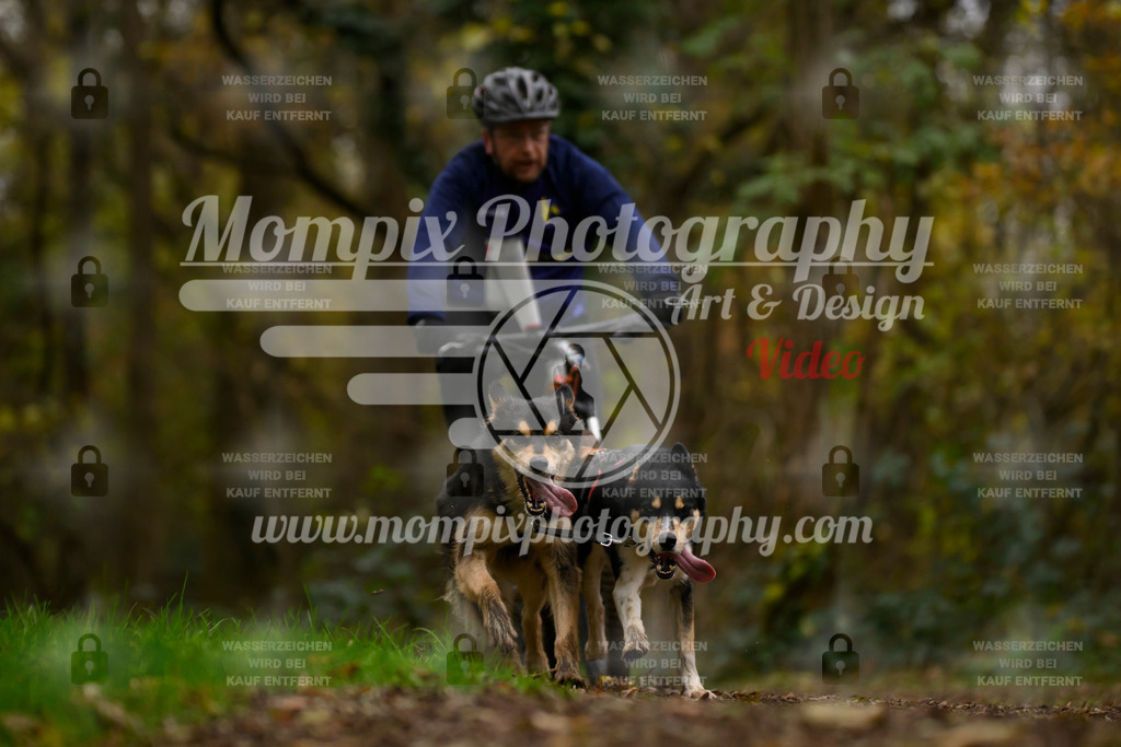 MompixPhotography_Bischwiller24_SA_VTT2-19 | PayLife