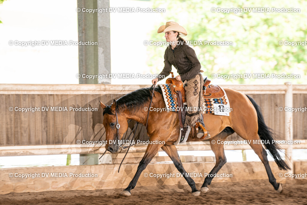 Erbach Tag 1-773 | dv-media-shop - Realisiert mit Pictrs.com