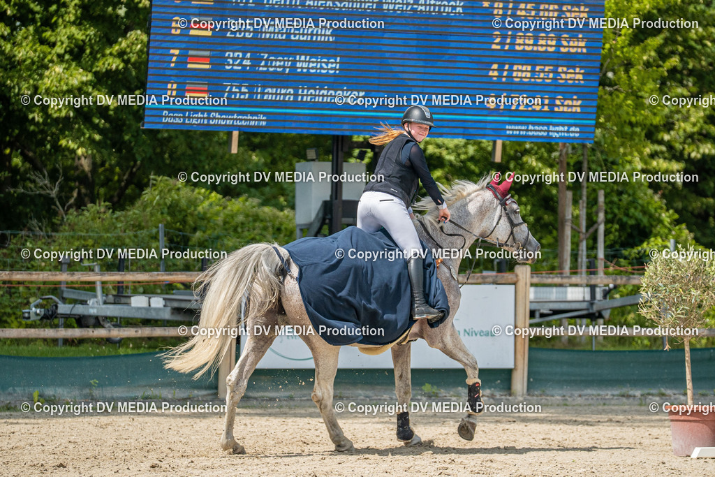 Hessische Tag 3-293 | dv-media-shop - Realisiert mit Pictrs.com