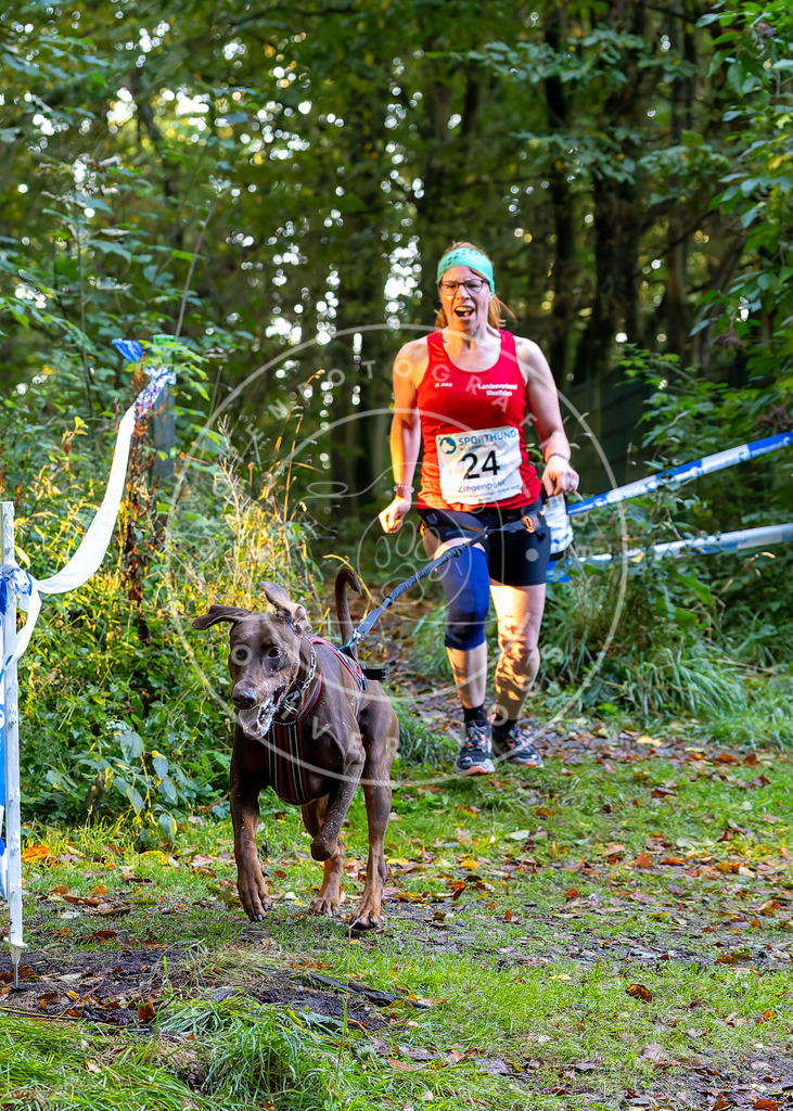 Pfotenfotografie_DV3A6533 | Hundefotografie, Tierfotograf, Pfotenfotografie, Fotoshooting Hund, Hunde Portrait, Hundesport, Hundeportraits, Heideshooting, Hunde, Sportfotograf, Hundefotograf, Turnierhundsport, THS,  - Realisiert mit Pictrs.com