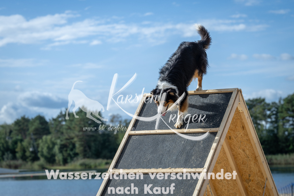 1431_ZZ91465 | kk-dogfotos