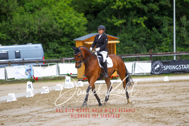 DKP47281 | Turniersportfotografie; Pferdefotografie; Dressurfotografie