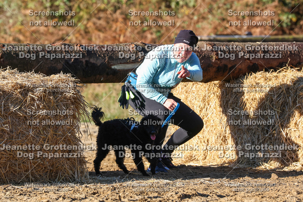 Dog Paparazzi - Strongdog 10-25-1474 | Dog Paparazzi Jeanette Grottendiek Fotografie & Videografie - Realisiert mit Pictrs.com