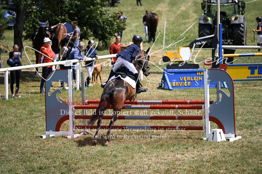 DSC_9491 | Pferde- und Turnierfotografie in Westsachsen. Pferdeportraits, Auftragszeichnungen und intuitive Kunst.