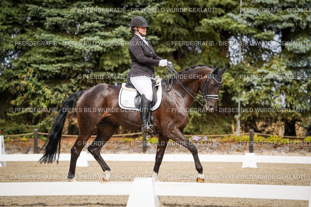 DSC05501 | Pferdegrafie