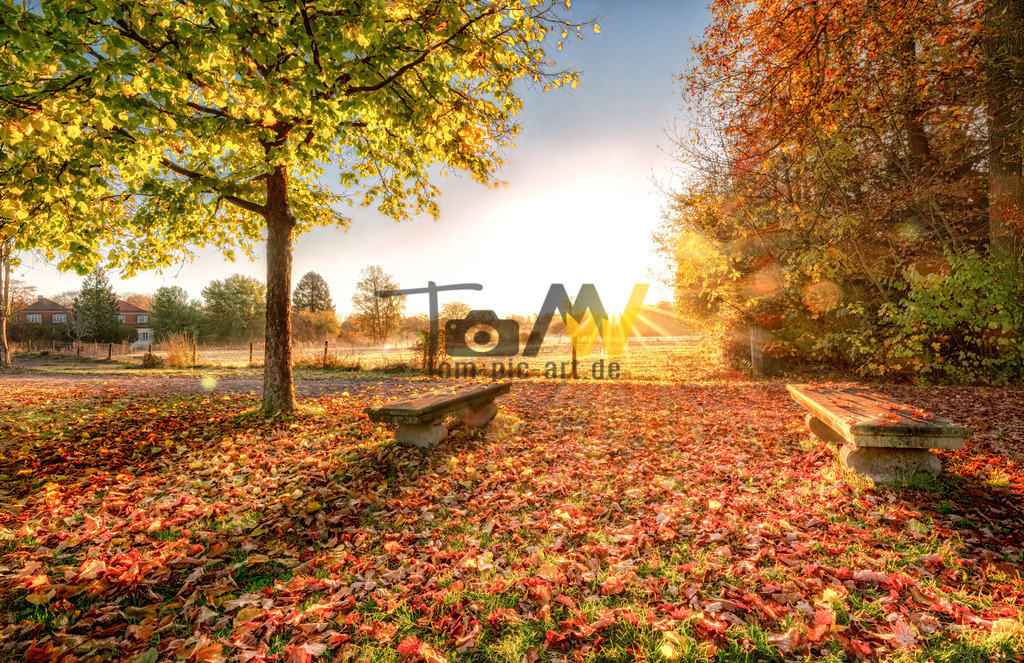 Strahlende Oktobersonne bei Schloss Solitude--Herbstfarben | Strahlend tiefes warmes Sonnenlicht bringt die Herbstszene an Schloss Solitude zum leuchten. - Realisiert mit Pictrs.com