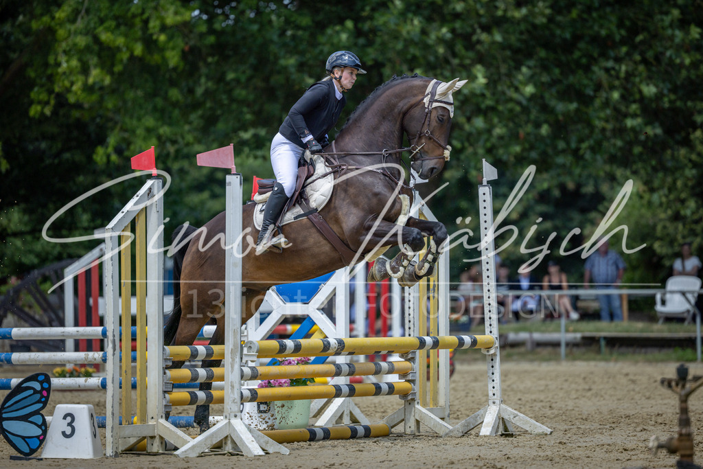 20260704-_3LI8631 | Tierfotografie Pferde, Hunde, Katzen, Haustiere.
Turnierfotografie Reitturniere, Reiten, Springreiten, Dressur in Hanau, dem Main-Kinzig-Kreis und dem Rhein-Main- Gebiet um Frankfurt