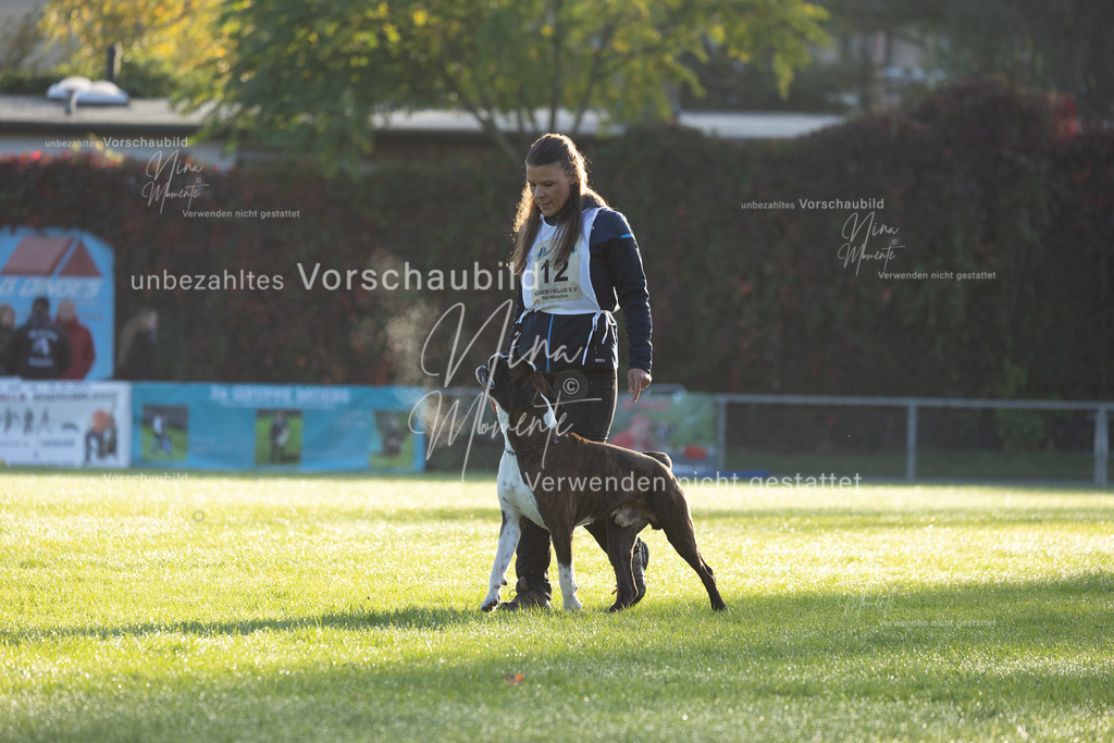 _16A6092 | Einzigartige Fotos von Hunden & Menschen –Actionfotos, Portraits, Vereinsaufnahmen & Paarshootings – authentisch, lebendig & mit Herz.