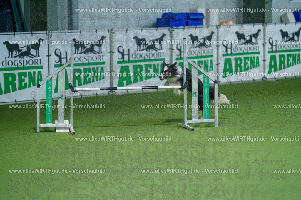 @allesWIRTHgut_Tierfotografie - www.allesWIRTHgut.de - 2604250939-7R508658 | Professionelle Tierfotografie in Mönchengladbach von Daniel Wirth (allesWIRTHgut). Liebevolle & natürliche Bilder von Hunden & Katzen für unvergessliche Erinnerungen.