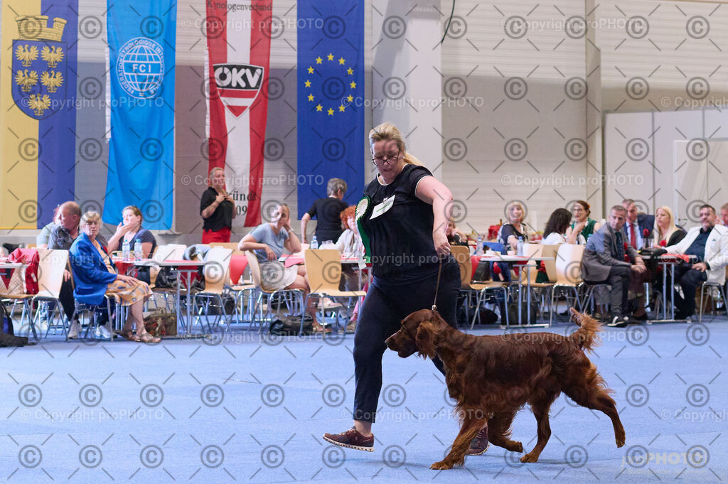 202406_ÖKV-IHA-Tulln24_DSC_4100 | proPHOTO - Realisiert mit Pictrs.com