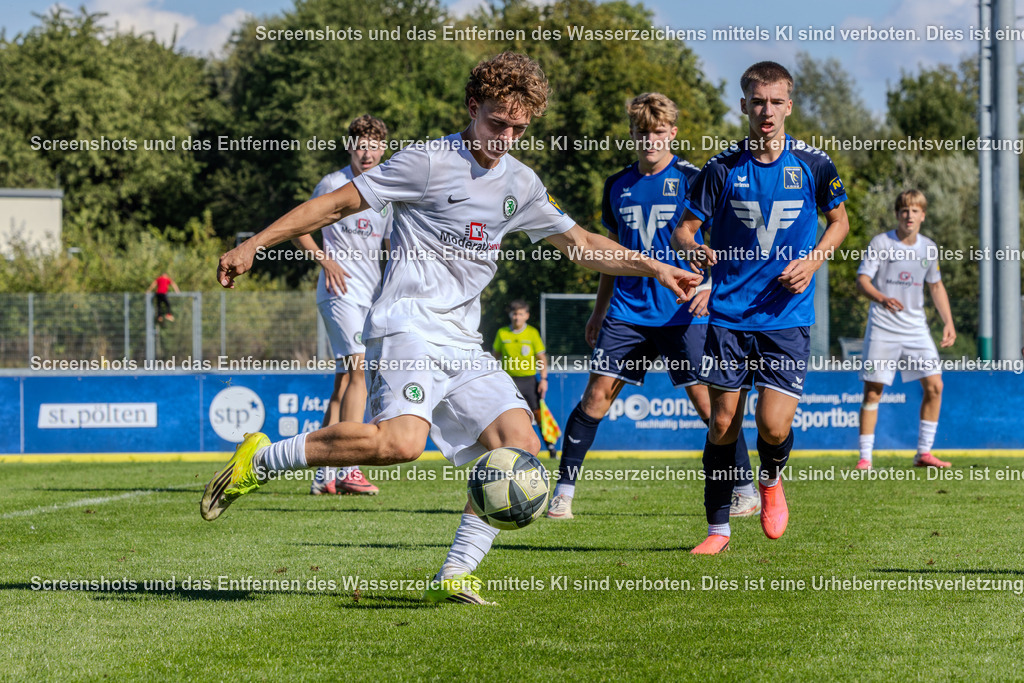 7K3A9306 | ÖFB Jugendregionalliga U16 - 4. Runde