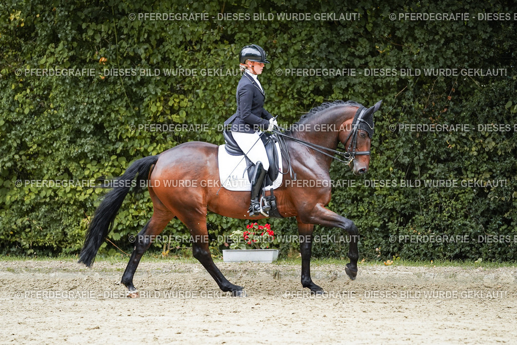 DSC09754 | Pferdegrafie