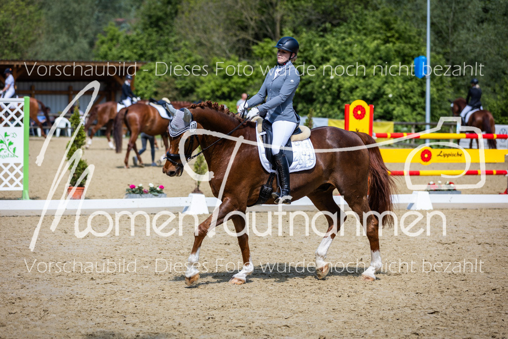 Donop24-L-Dre-036 | MomenTaufnahmen Pferdesportfotos