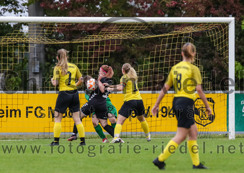 2023-10-08_048_FC_Moosinning_gegen_SG_TSV_St_Wolfgang-FC_Lengdorf | Moosinning, Deutschland, 08.10.2023:
Fußball, Kreisliga 2023 / 2024, 4. Spieltag, FC Moosinning gegen (SG) TSV St.Wolfgang/FC Lengdorf, Endergebnis: 

Foto: Christian Riedel / fotografie-riedel.net