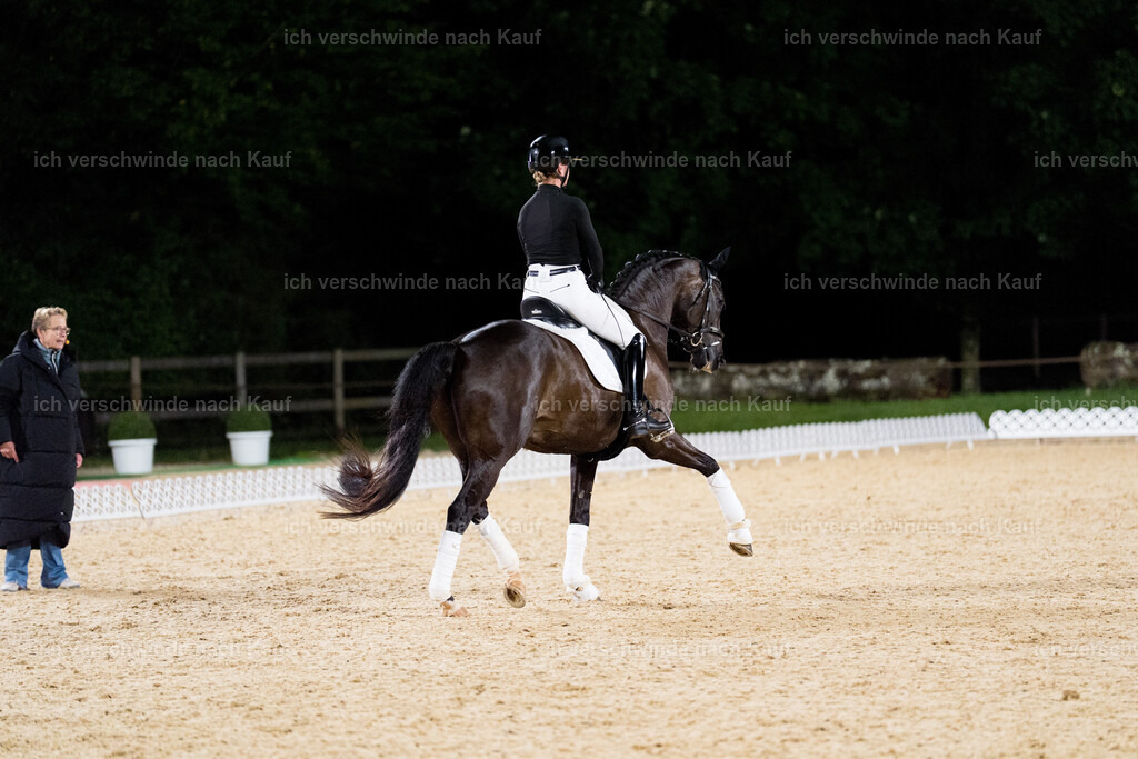 FHC2025 Isabell Werth-9408 | working equitationturnier fotograf videograf stoibphotography marixx film working equitation deutschland reitsport turnierfotografie eventfotografie equestrian events