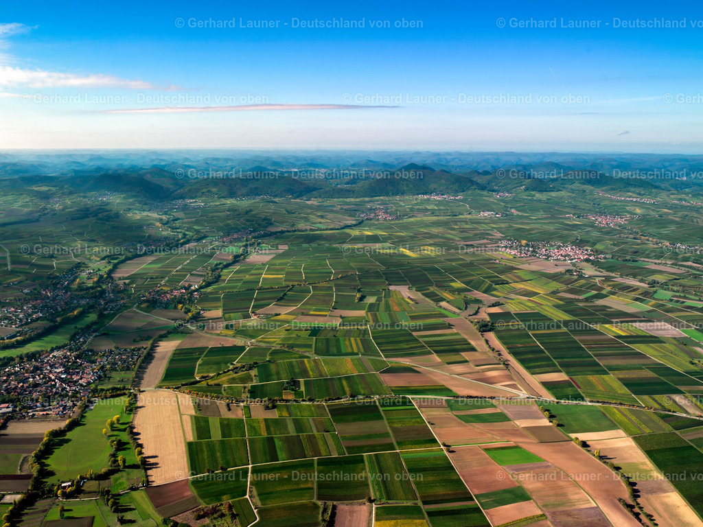 2499312 | Blick über den Pfälzerwald von Billigheim-Ingenheim in Richtung Westen