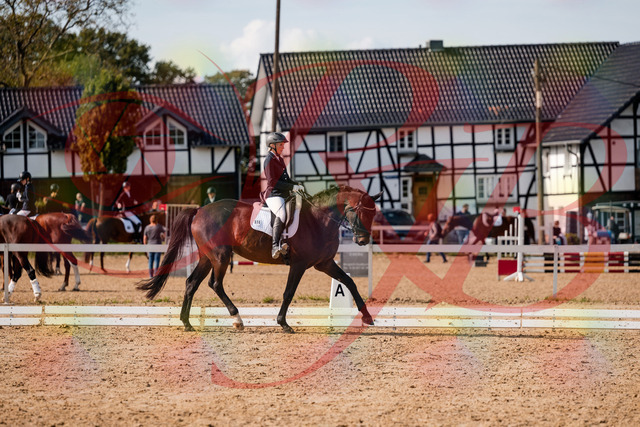 2026_10_03_Siefer-Hof_133525_Z63_95143738 | Professionelle Reitsport-, Turnier- und Eventfotografie von Robert Broda. Galerien mit ausgewählten und bearbeiteten Bildern direkt online ansehen und bestellen.