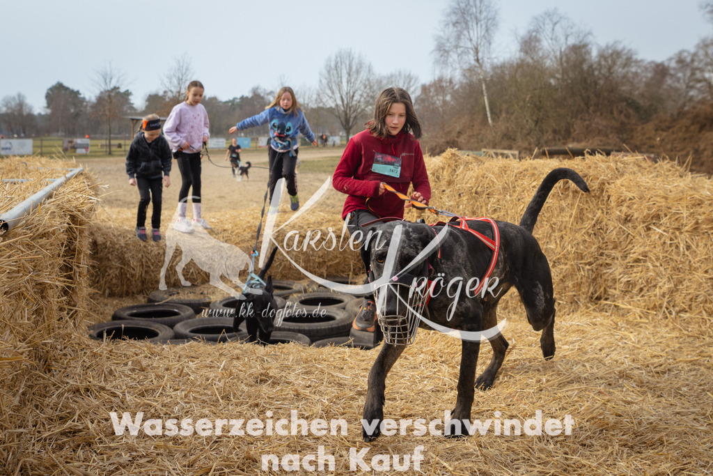 1052_ZZ90536 | kk-dogfotos