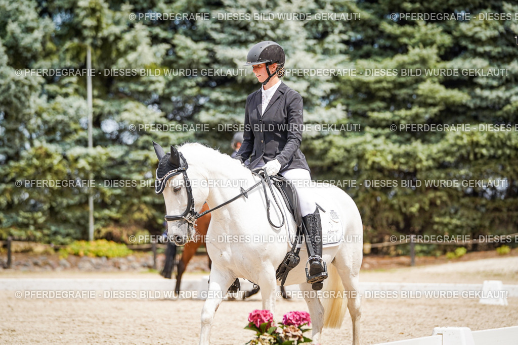 DSC03835 | Pferdegrafie