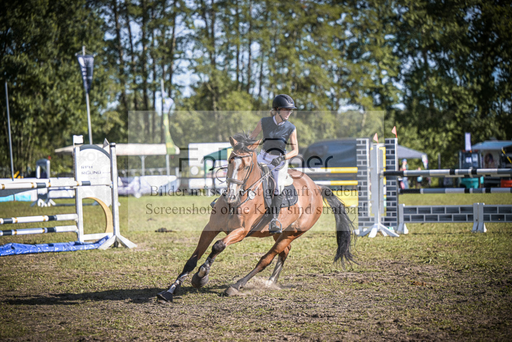 DOS_1254 | Entdecke hochwertige Reitturnierfotos von Foto Oger. Professionell, emotional und authentisch – jetzt Lieblingsmomente im Shop bestellen.Deutschlandweite Turnierfotografie. - Realisiert mit Pictrs.com