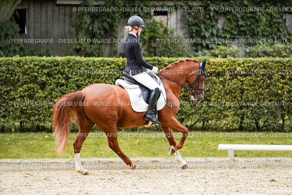 DSC08835 | Pferdegrafie